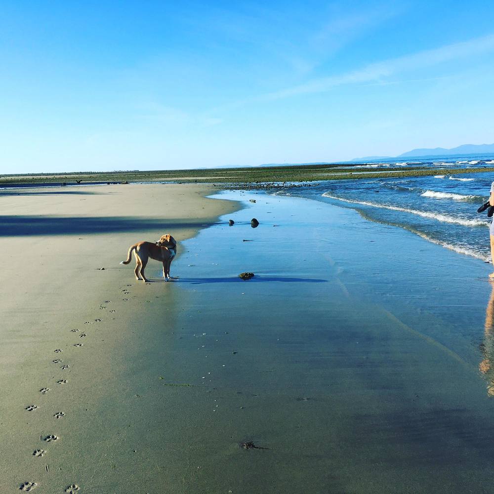 Meet your Posher, Sara